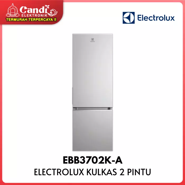 Kulkas Big Reff 2 Pintu Electrolux