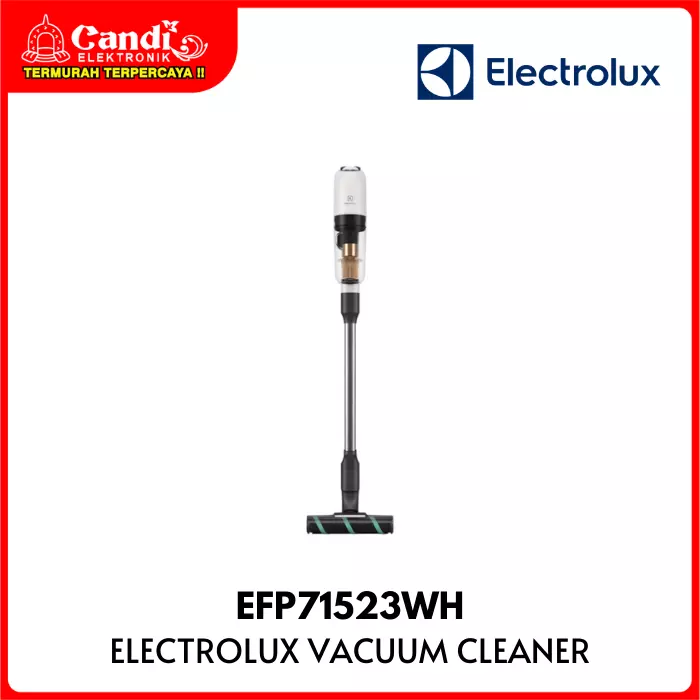 Vacuum Cleaner Electrolux