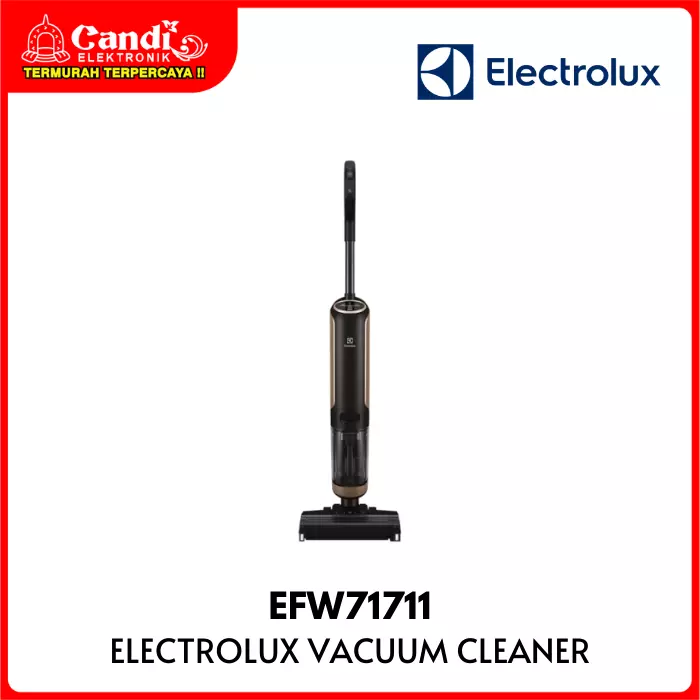 Vacuum Cleaner Electrolux
