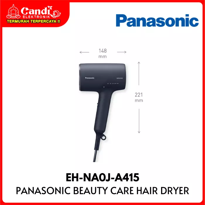 Hair Dryer Panasonic