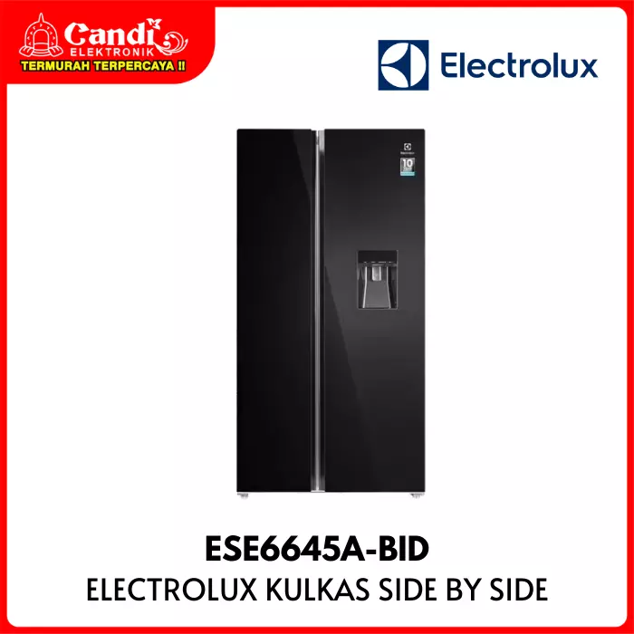 Kulkas Side By Side Electrolux