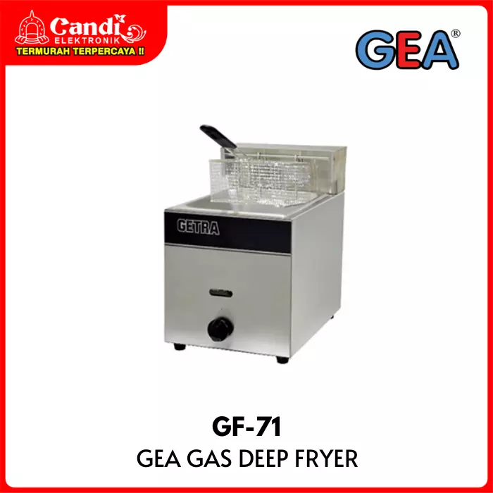 Deep Fryer Gea