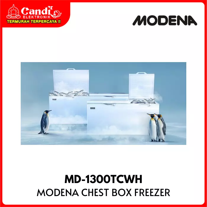 Box Freezer Modena