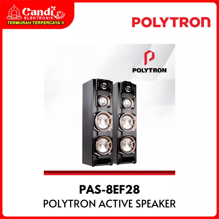 Speaker Active Polytron 