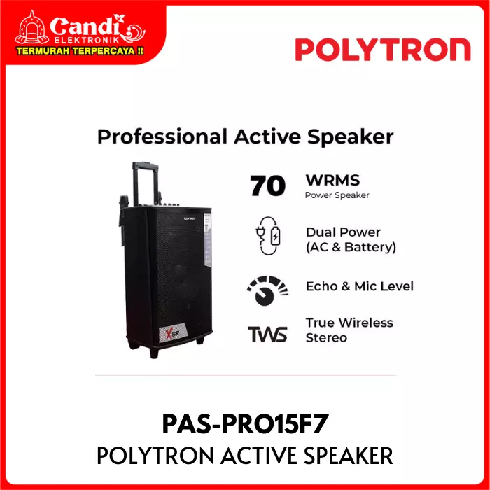 Speaker Active Polytron
