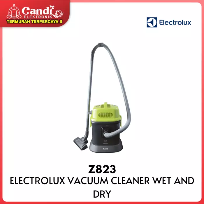 Vacuum Cleaner Electrolux